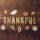 8 Reasons to Be Grateful for Our Education System 